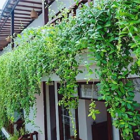 Riverside Plum Garden Villa Hội An Extérieur photo