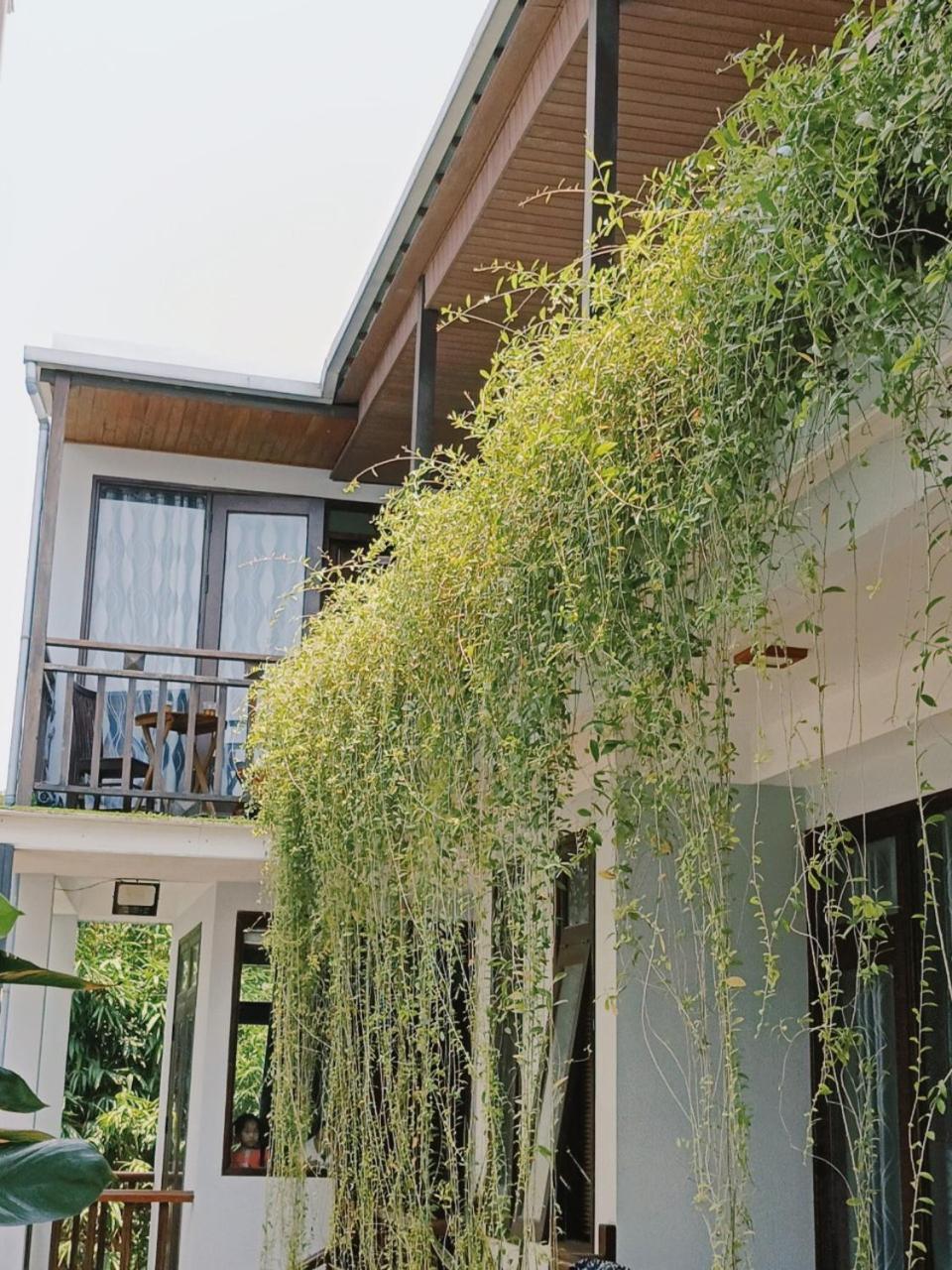 Riverside Plum Garden Villa Hội An Extérieur photo