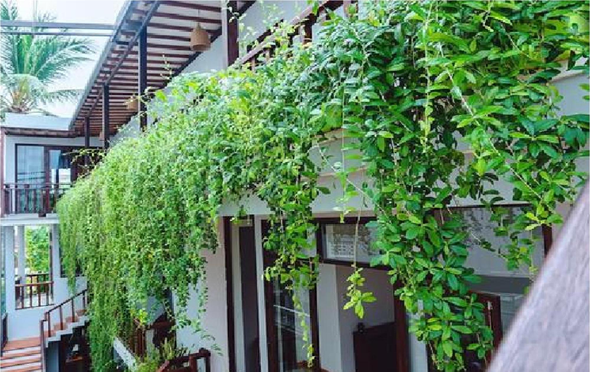 Riverside Plum Garden Villa Hội An Extérieur photo